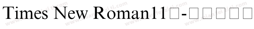 Times New Roman11号字体转换